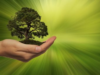 EU erlässt neue Verordnungen, um das so genannte "Greenwashing" von Finanzprodukten zu verhindern.