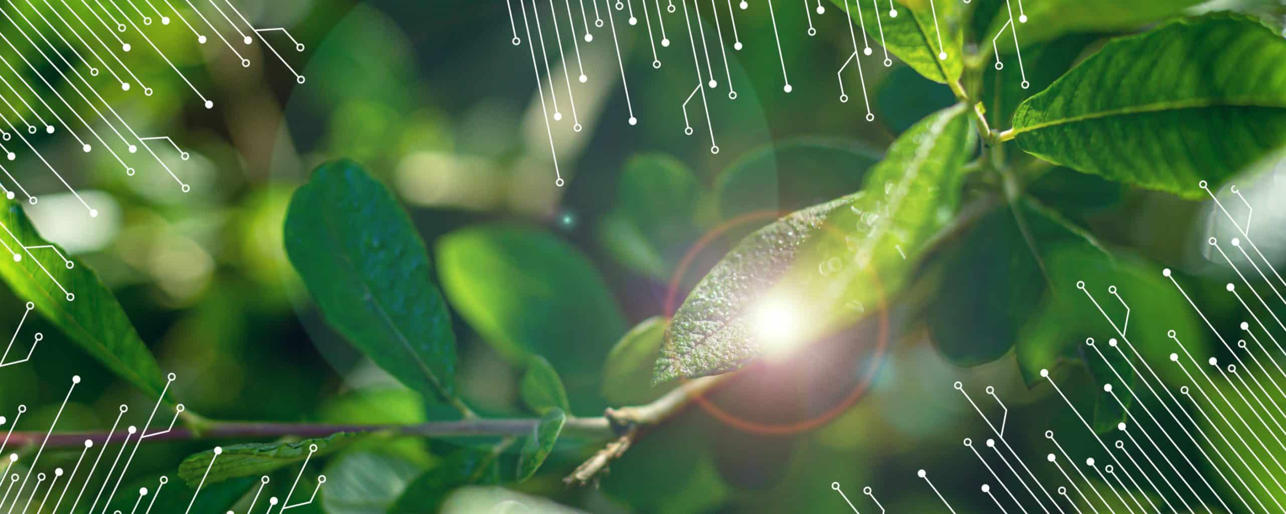 ESG-Update für Fondsmanager, Regulatroy Technical Standards, RTS