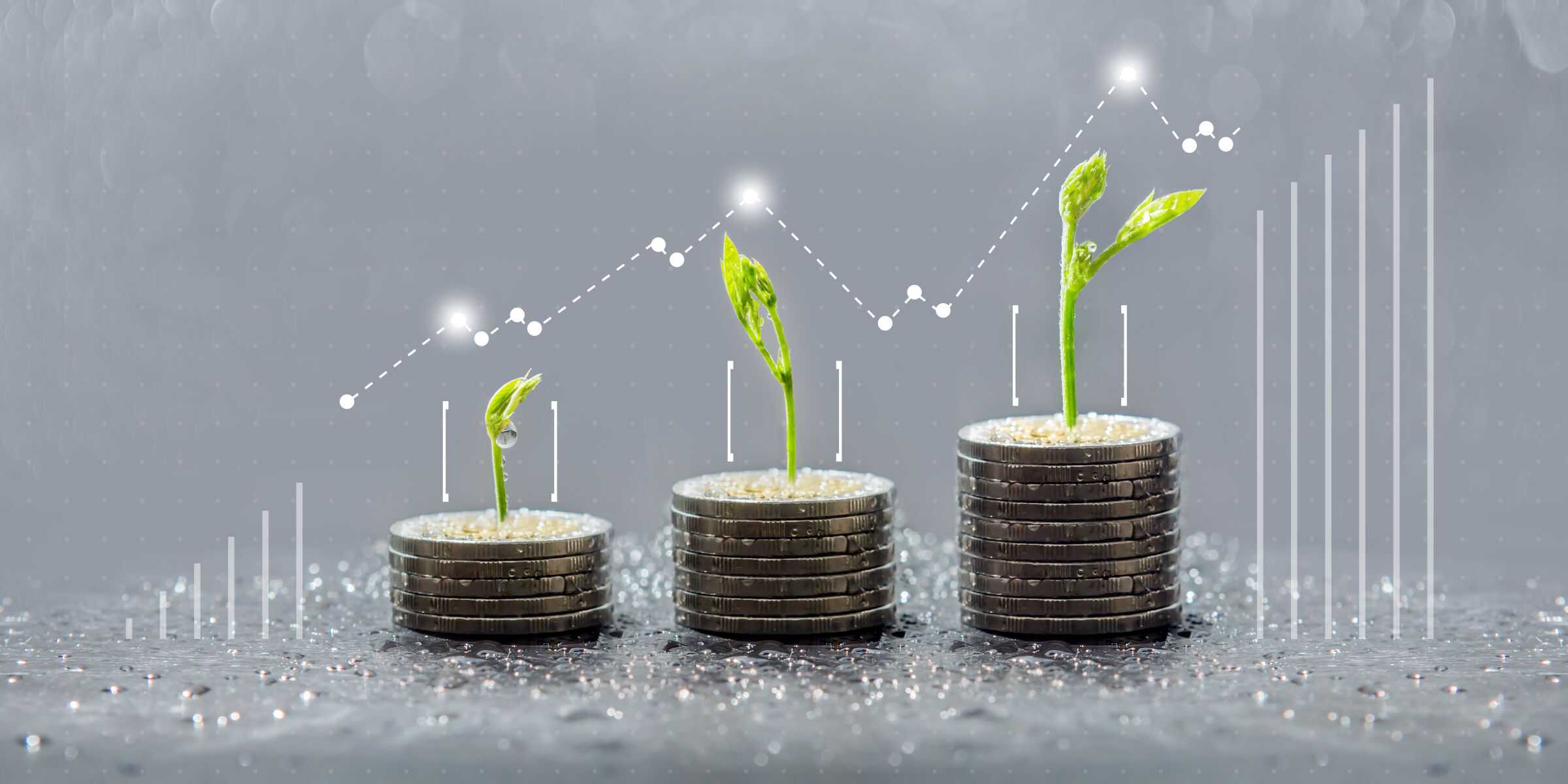 Grüne Transformation, grüne Investments, E(SG), ESG, Investoren, Finanzierungsbedarf