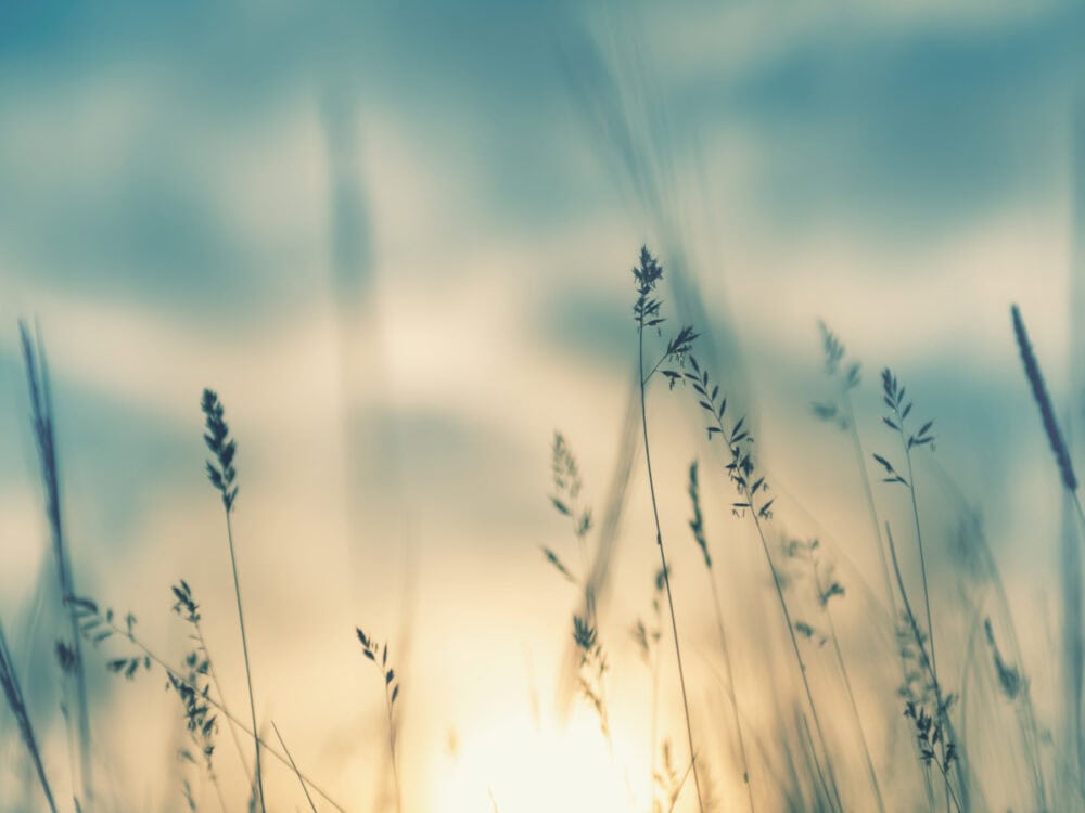 EU-Geldwäschepaket, 6. Geldwäscherichtlinie, Stiftungen, Trusts