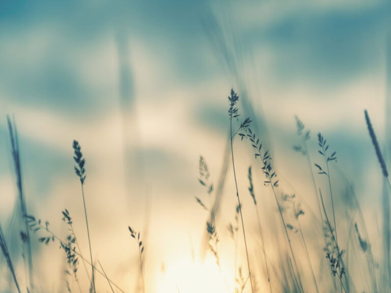 EU-Geldwäschepaket, 6. Geldwäscherichtlinie, Stiftungen, Trusts