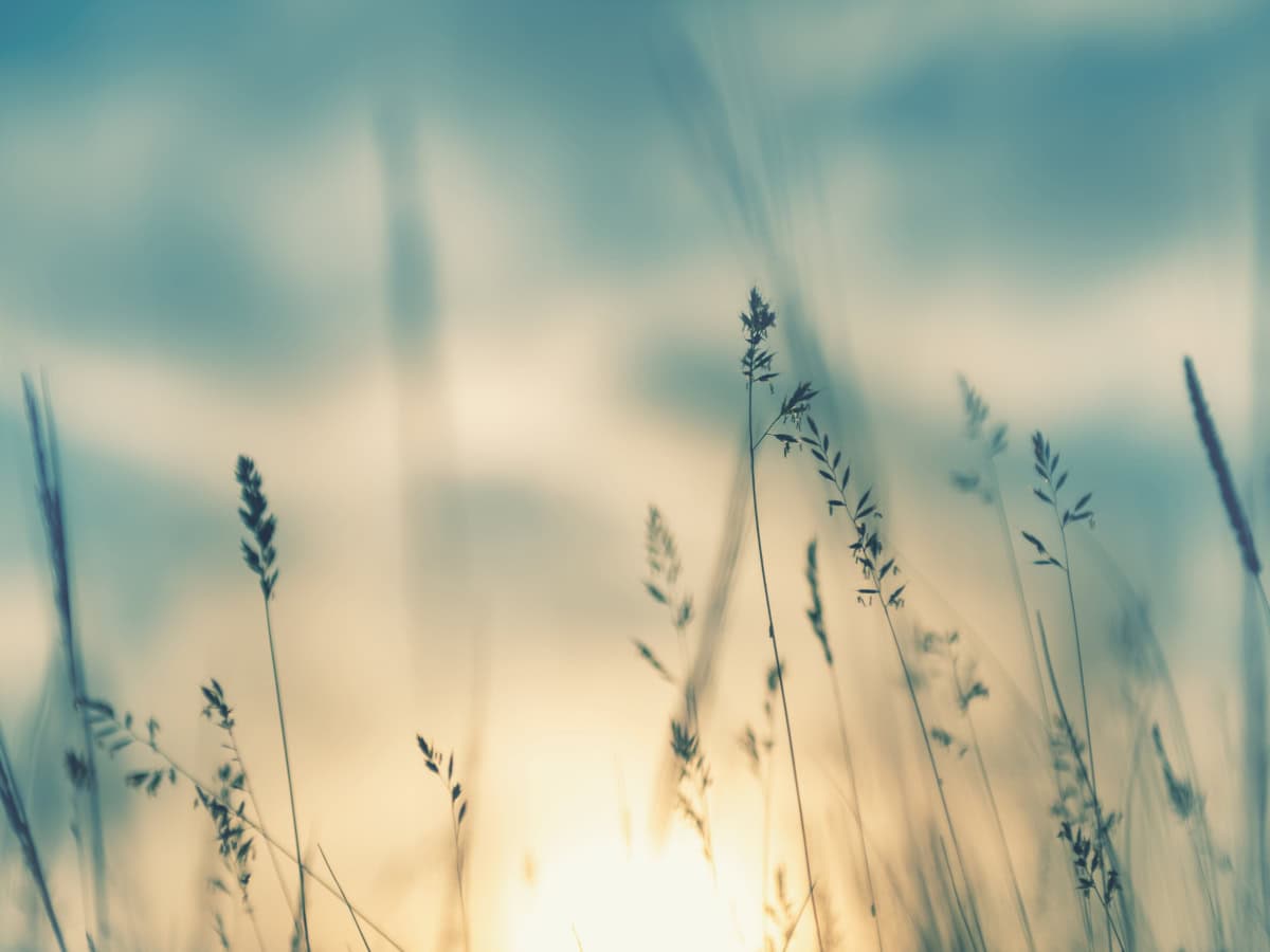 EU-Geldwäschepaket, 6. Geldwäscherichtlinie, Stiftungen, Trusts